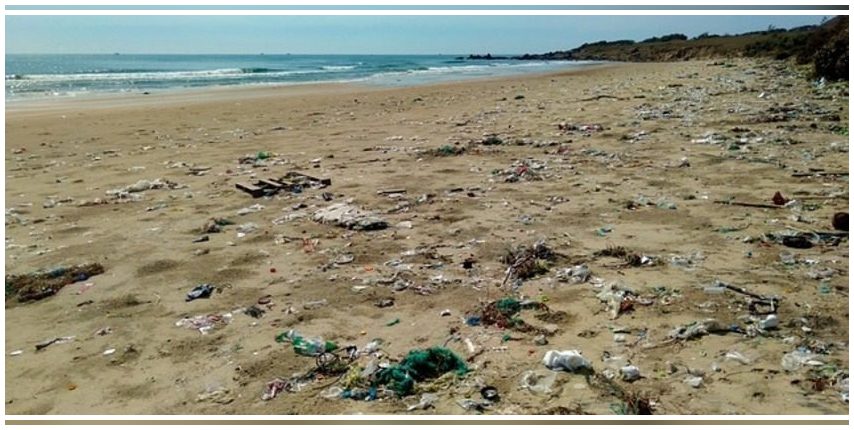 País Vasco: 250 estudiantes participan en una acción de limpieza de residuos en la playa de Zarautz 