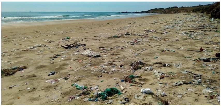 País Vasco: 250 estudiantes participan en una acción de limpieza de residuos en la playa de Zarautz 
