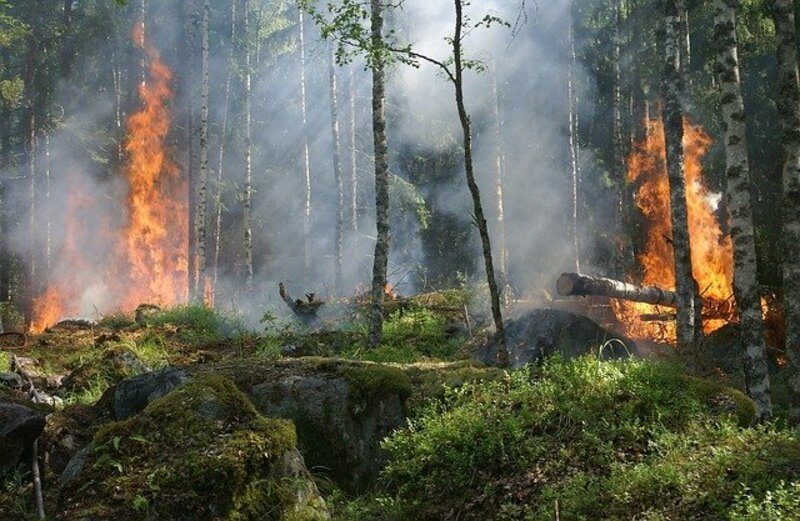 Informe del IPCC: realidad climática frente a brecha política