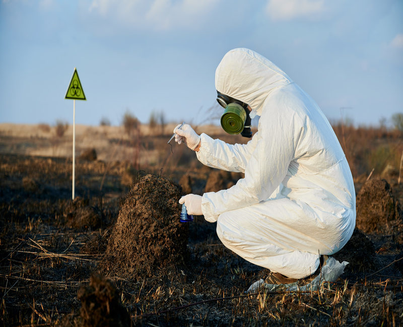 Investigación revela la mayor acumulación de plaguicidas en el polvo del interior de viviendas