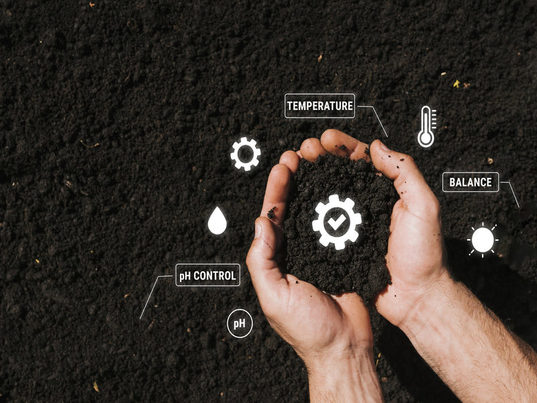 Prácticas para la Reducción de Metano en la Agricultura: Evidencia Empírica de su Eficacia en el Terreno