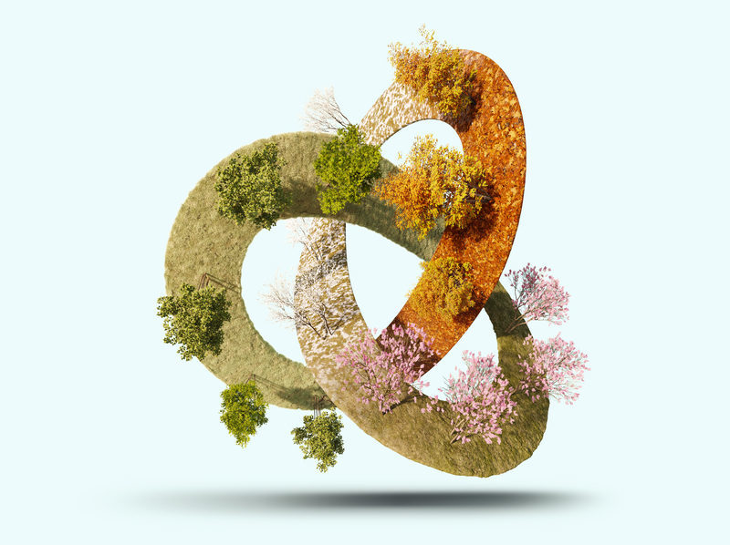 Embalajes sostenibles a partir de residuos agrícolas: la UCA y el proyecto OLICOMP3D como modelo de economía circular