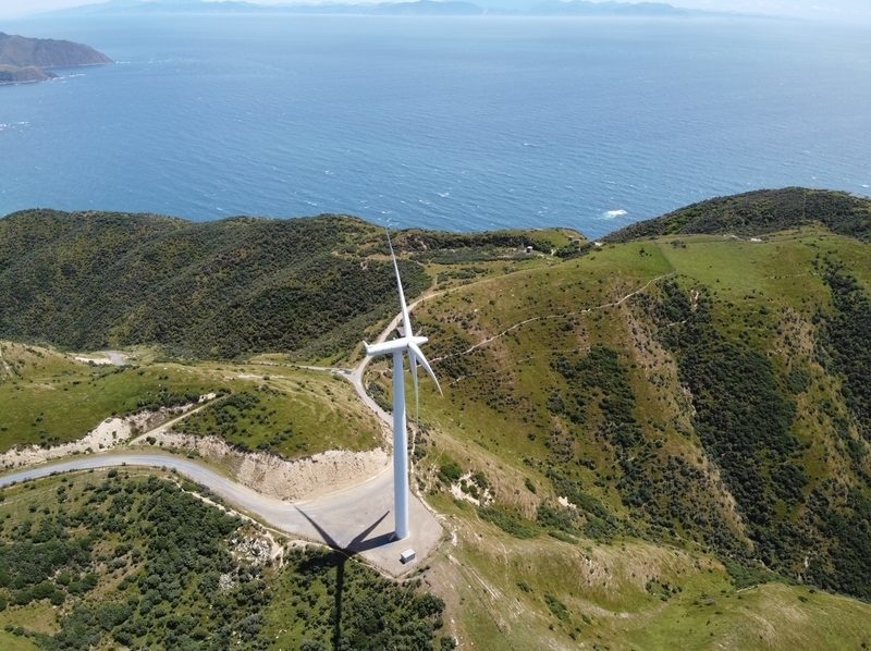 Energía eólica marina en el Mediterráneo: estrategias para compatibilizar el desarrollo renovable con la conservación de la biodiversidad 