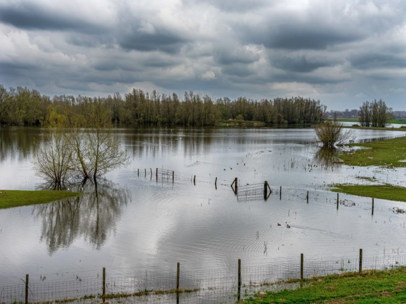 Estado climático en Europa: contraste este-oeste y eventos de inundaciones extensas durante el año más cálido registrado