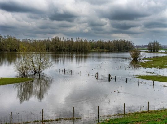 Estado climático en Europa: contraste este-oeste y eventos de inundaciones extensas durante el año más cálido registrado
