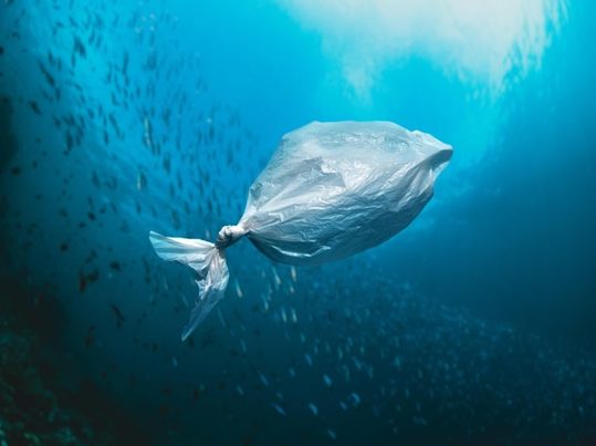 Distribución y gradiente espacial de residuos plásticos mayores de 500 μm en el suroeste del océano Índico