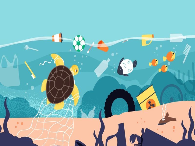 Estrategias de la iniciativa NUTEC Plastics para salvaguardar la biodiversidad en las Galápagos