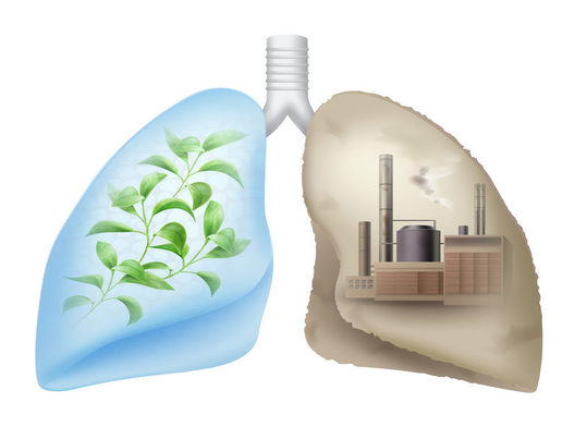 Impacto de la contaminación ambiental en mutaciones genéticas relacionadas con el cáncer de pulmón 