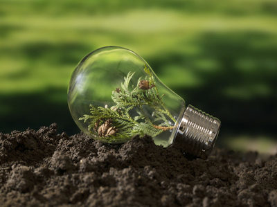 Innovación en economía circular: UNIST transforma residuos solares para una producción ambientalmente responsable de amoníaco