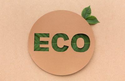 Nuevo material superplástico biodegradable para aplicaciones electrónicas flexibles