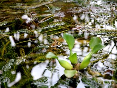 La UNESCO alerta: el acuífero de Doñana se agota