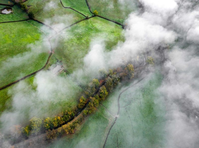 La gran ausente en la COP16: la contaminación como amenaza para la biodiversidad