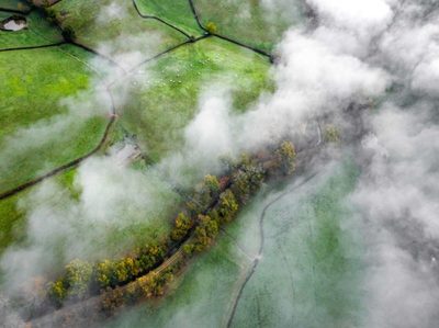 La gran ausente en la COP16: la contaminación como amenaza para la biodiversidad