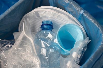 Microplásticos biodegradables y su influencia en la salud de los agroecosistemas