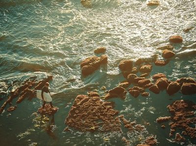 Protección ambiental marina: Portugal aprueba una histórica moratoria sobre la minería submarina