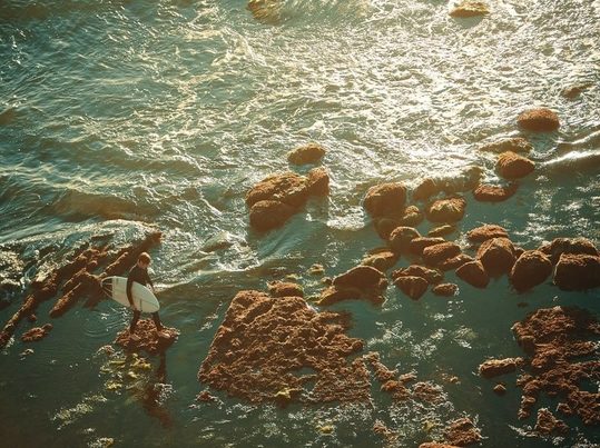 Protección ambiental marina: Portugal aprueba una histórica moratoria sobre la minería submarina