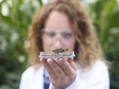 El papel del biocarbón de origen humano en la mitigación de la escasez de fertilizantes