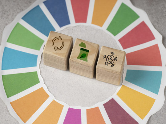 Economía circular en la industria azucarera: aprovechamiento de residuos para fomentar el crecimiento