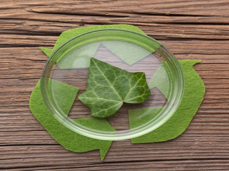 Películas multicapa inspiradas en hojas de plantas para la sustitución de plásticos derivados del petróleo en envases alimentarios