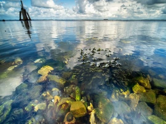 Desmantelamiento sostenible de infraestructuras marinas: protegiendo ecosistemas y gestionando residuos