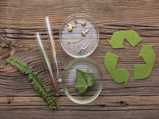 Estrategias de economía circular en la gestión de residuos biológicos y químicos: el caso ROVI