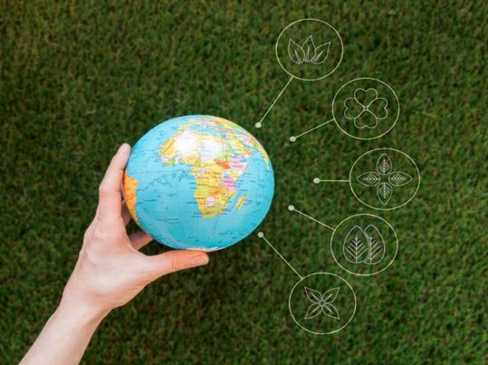 La Estrategia de Bioeconomía de la UE: avances insuficientes frente a la sostenibilidad