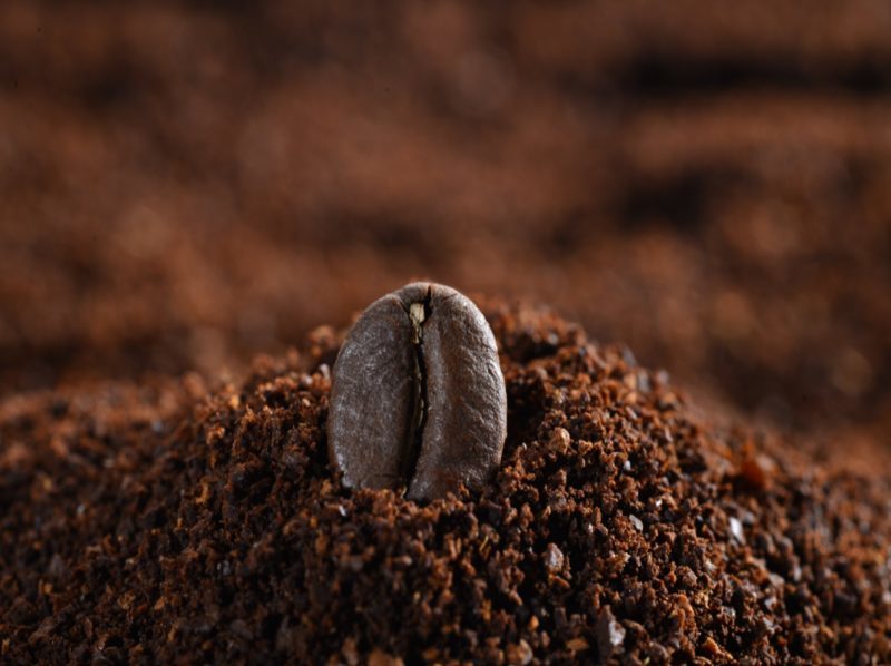 Del residuo urbano al material de construcción: borras de café como ingrediente sostenible para concreto