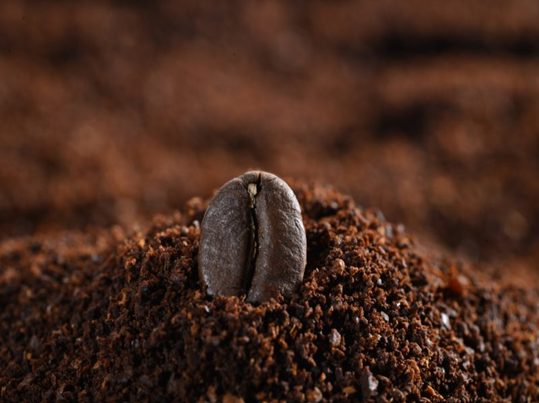 Del residuo urbano al material de construcción: borras de café como ingrediente sostenible para concreto