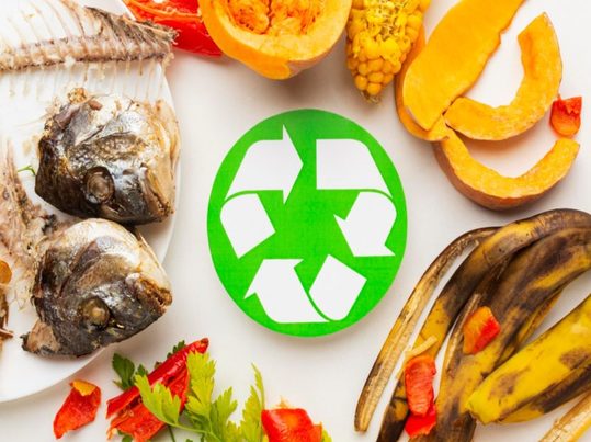 Sevilla circular: cuando el residuo se convierte en recurso