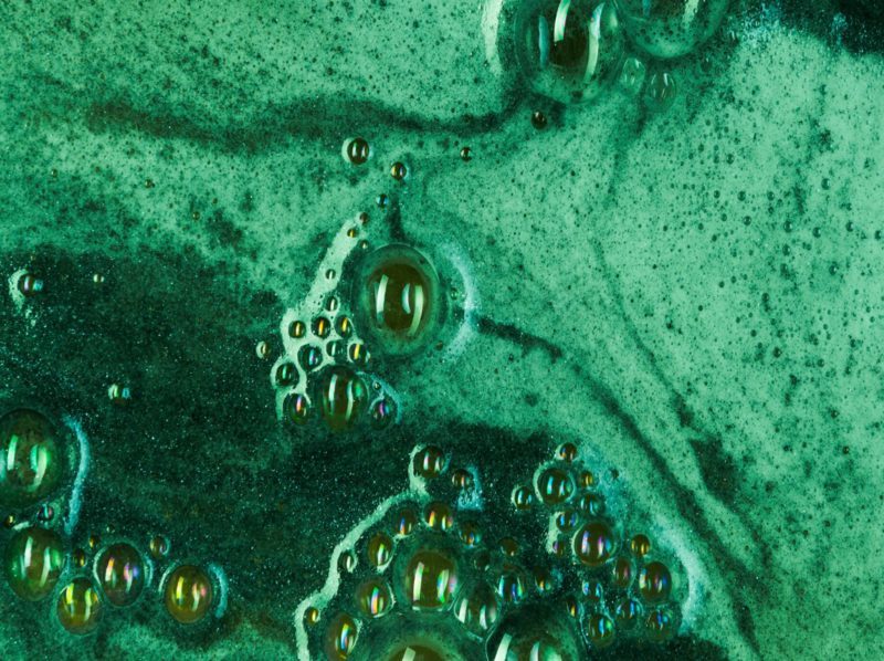 Microfago: acelerando la biodegradación de bioplásticos en procesos de residuos orgánicos