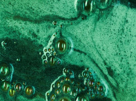 Microfago: acelerando la biodegradación de bioplásticos en procesos de residuos orgánicos