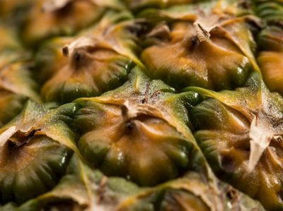 Nanofibras de piña transforman suelos áridos: de residuo a recurso agrícola