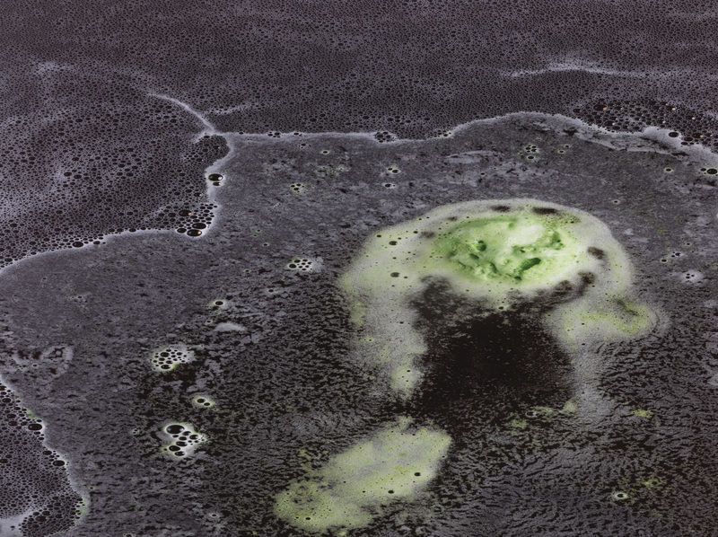 Microalgas y residuos industriales: un sistema sostenible para depurar metales pesados en agua