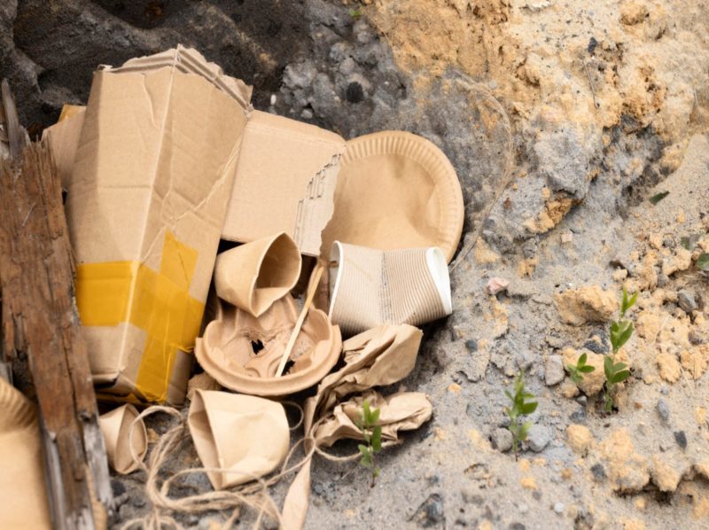 Residuos de papel y biocostras: una solución basada en la naturaleza para la restauración de suelos áridos