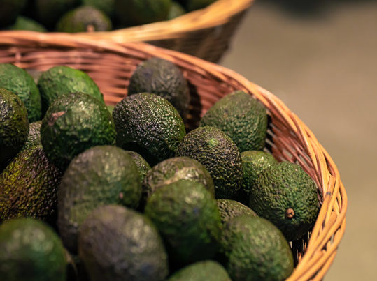 Transformar residuos de aguacate en aceite: innovación italiana para la industria hortofrutícola