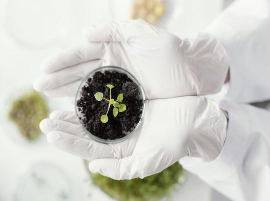 Transformación de CO₂ en moléculas de valor mediante ruta metabólica artificial