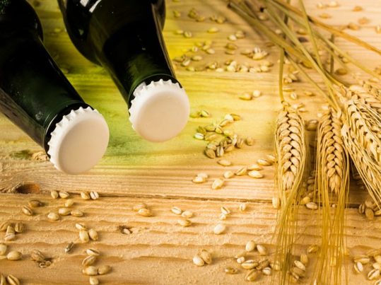 La UAB impulsa un biofertilizante de selenio a partir de residuos del grano de cerveza