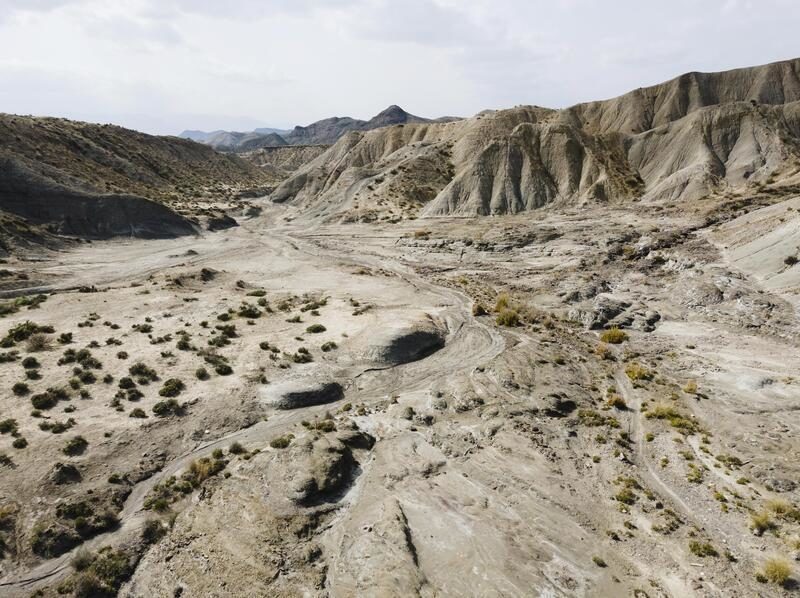 Mycomining y residuos industriales: una vía sostenible para obtener tierras raras