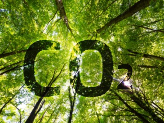 Innovación química y descarbonización: vectores tecnológicos para la mitigación climática