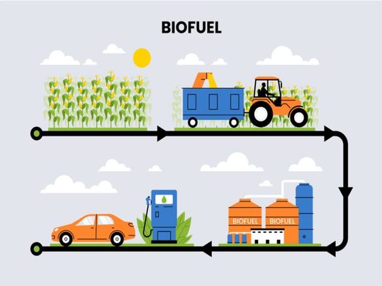 Biohidrógeno y biomasa residual: vector estratégico para la transición energética en América Latina