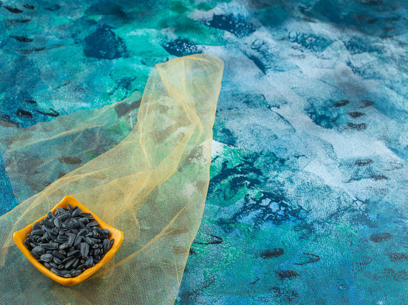 Una empresa gallega transforma residuos marinos en un producto que depura el agua