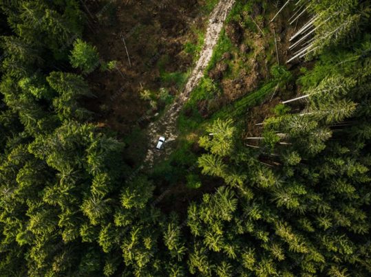 Evaluación global sobre naturaleza revela riesgos sistémicos para la actividad económica y la estabilidad financiera
