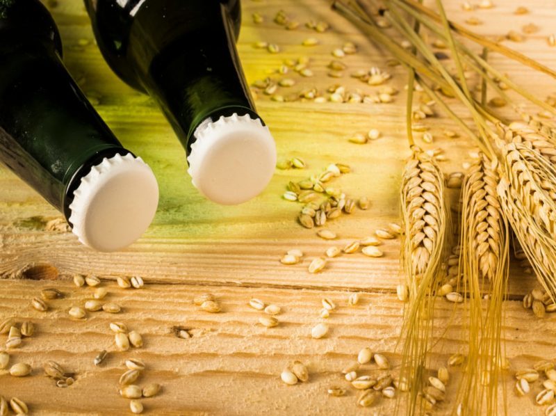 Valorización del bagazo cervecero para producir bioestimulantes agrícolas