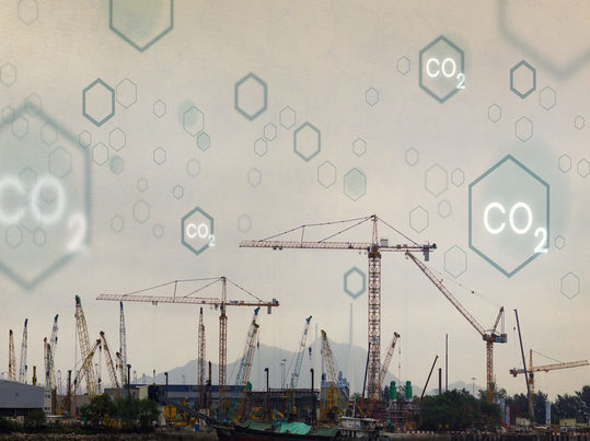 Biomasa como palanca estratégica para la descarbonización industrial