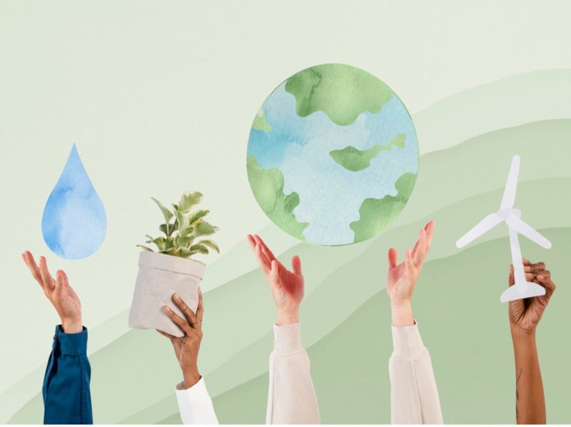 Valorización biológica de residuos de pañales mediante el uso de hongos: potencial y limitaciones en sistemas de tratamiento