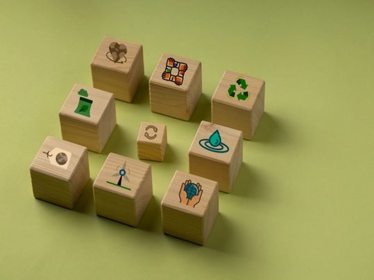 Valorización energética de residuos orgánicos mediante digestión anaerobia en sistemas de autoconsumo municipal