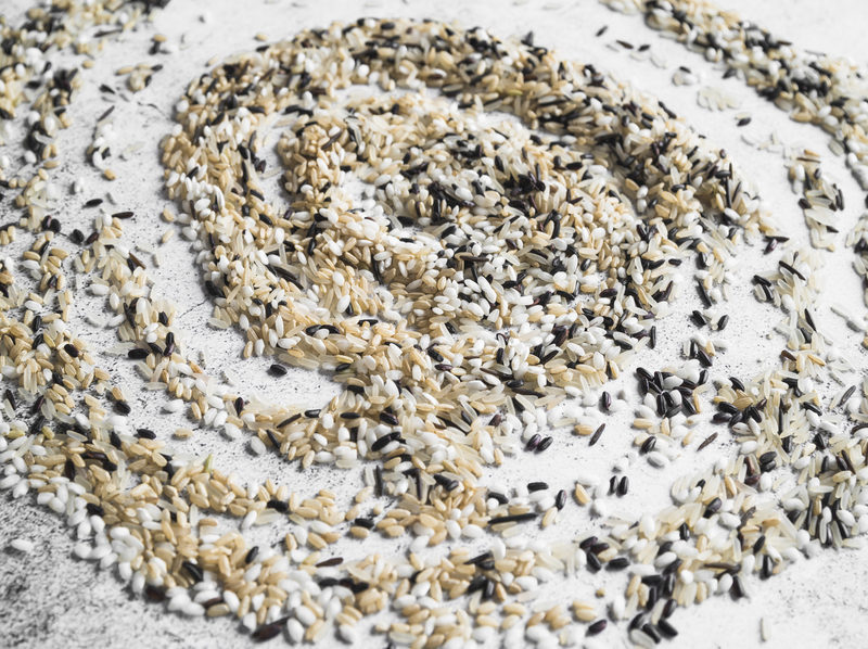 Varbiopac desarrolla envases biodegradables activos a partir de residuos de arroz, uva y chufa