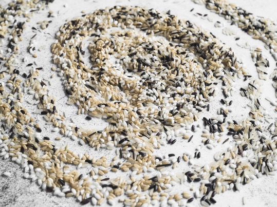 Varbiopac desarrolla envases biodegradables activos a partir de residuos de arroz, uva y chufa