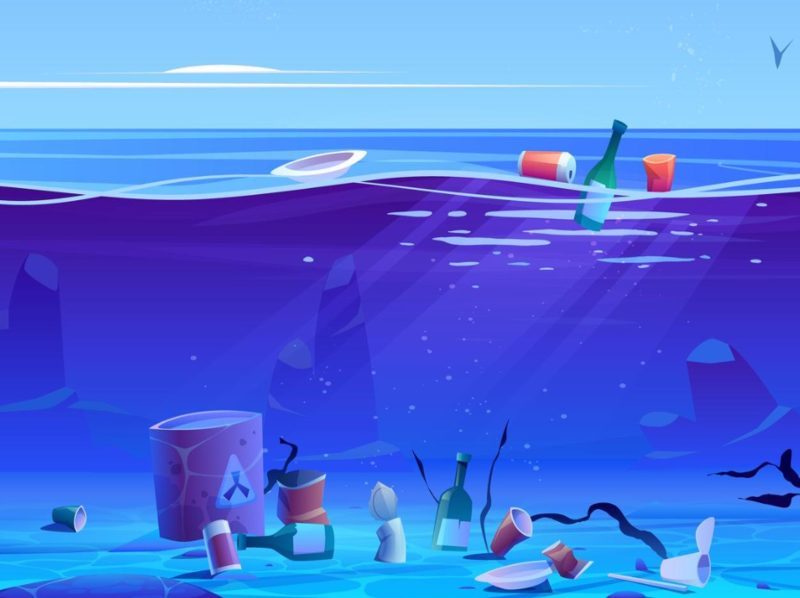 Microplásticos en las coquinas de los estuarios del Guadiana y el Guadalquivir: nuevas evidencias de contaminación acuática