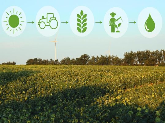 Valorización energética de residuos agrícolas y cierre de ciclos nutrientes